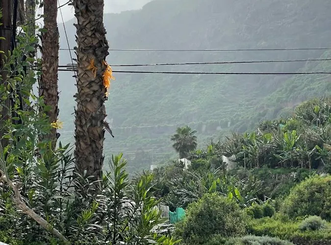 公寓 La San Juanita *