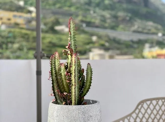 La San Juanita Apartmán *